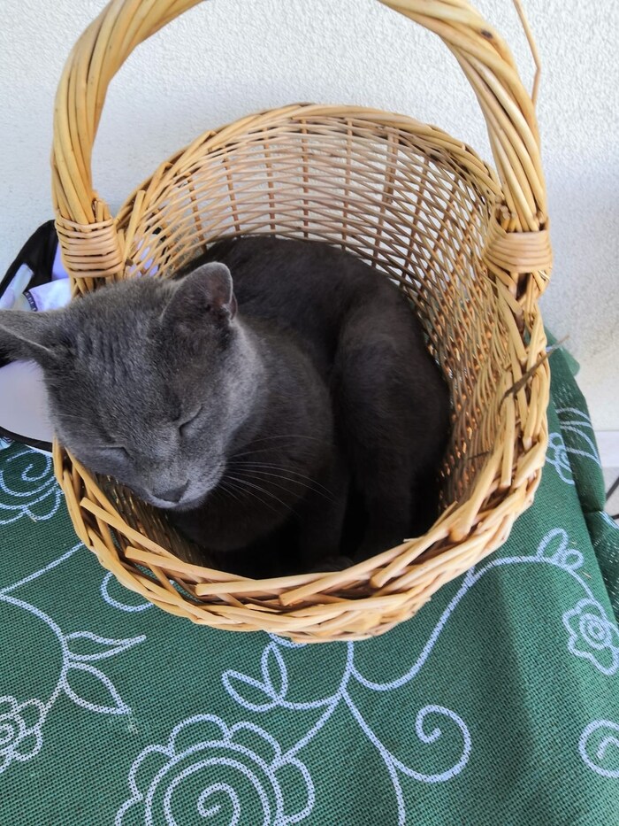 Timo fühlte sich in seinem Zuhause sehr wohl.