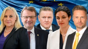 Angelika Winzig, Hannes Heide und Roman Haider (von links) sind auch weiterhin die Vertreter Oberösterreichs in der EU. Für Ines Vukajlović ging es sich nicht aus, auch nicht für Rainer Hable von den Neos. (Bild: Krone KREATIV/Harald Dostal (2), Markus Wenzel, picturedesk.com, Neos )