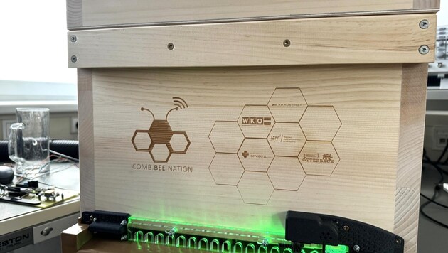 So sieht der Prototyp des digitalen Bienenstocks aus. (Bild: Frauscher Sensortechnik)