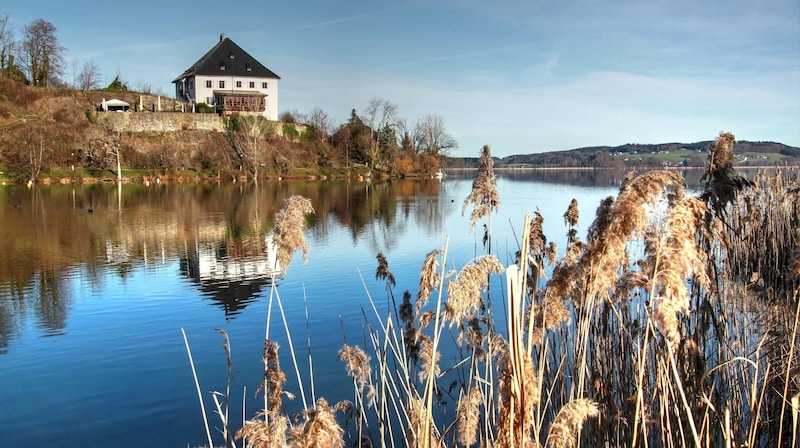 Das Schloss Mattsee (Bild: Emma Sommeregger)