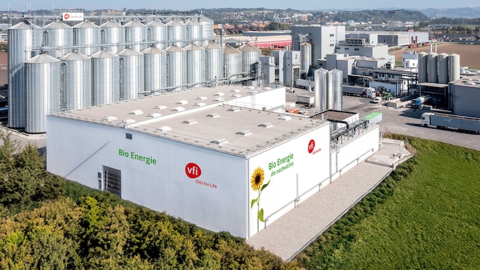 Sunflower seeds from the plant in Ennsdorf are supplied to manufacturers of baking mixes and the like, and the shells of the seeds are turned into biogas.
