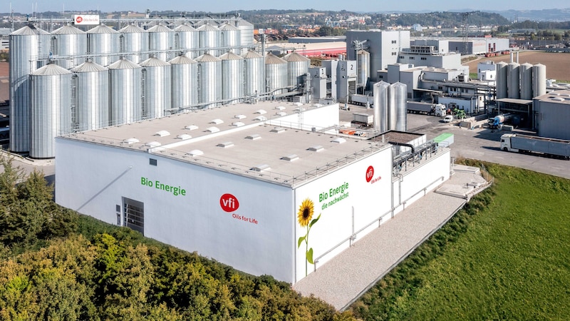 Sonnenblumenkerne aus dem Werk in Ennsdorf werden an Hersteller von Backmischungen und Co. geliefert, die Schalen der Kerne werden zu Biogas. (Bild: VFI Oils for Life)