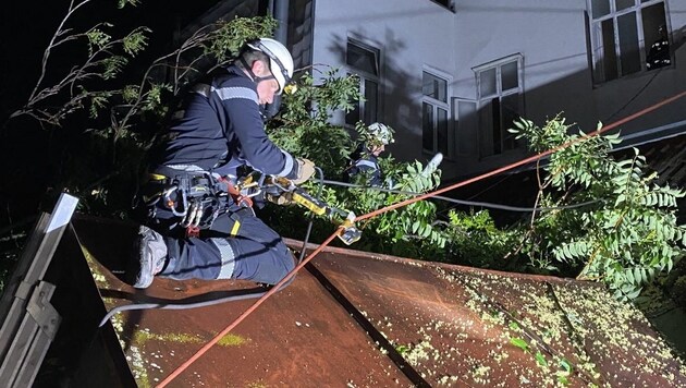 A hivatásos tűzoltóságnak öt óra alatt mintegy 70 esethez kellett vonulnia. (Bild: APA/STADT WIEN/FEUERWEHR)