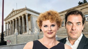 (Bild: Krone KREATIV/Parlamentsdirektion/Thomas Topf, Krone.at)