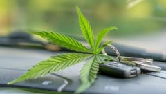 Im Auto des Lenkers wurden geringe Mengen an Cannabiskraut gefunden.  (Bild: stock.adobe.com)