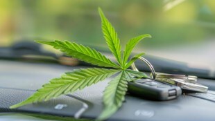Im Auto des Lenkers wurden geringe Mengen an Cannabiskraut gefunden. 