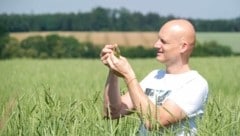 Hubert Lackner (42) führt den Bio-Sipbachhof in Allhaming seit dem Jahr 2000. Er betreibt reinen Ackerbau, hat auf seinen Feldern derzeit Mais, Soja, Dinkel und Hafer angebaut. (Bild: Einöder Horst)