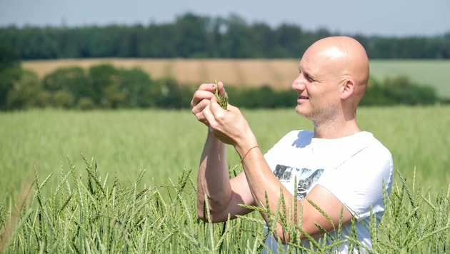 Hubert Lackner (42) führt den Bio-Sipbachhof in Allhaming seit dem Jahr 2000. Er betreibt reinen Ackerbau, hat auf seinen Feldern derzeit Mais, Soja, Dinkel und Hafer angebaut. (Bild: Einöder Horst)