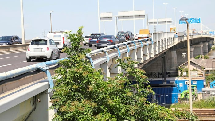 Auf der Nordbrücke kam es zum Crash.