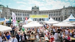 Was für ein Ansturm! Am Heldenplatz tummelten sich am Samstag schon viele ab dem frühen Vormittag. (Bild: Wenzel Markus)