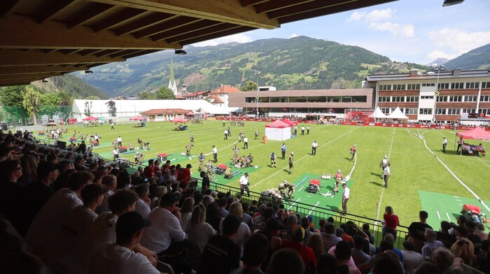 Volle Tribünen waren der verdiente Lohn für die Leistungen.