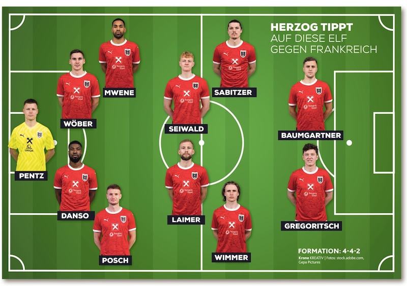 Andreas Herzog's preferred eleven (Bild: Krone KREATIV)