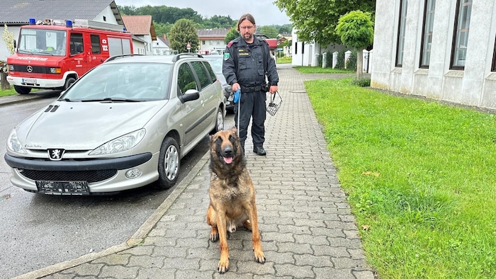 Zwei Polizeihunde sind an der Suche beteiligt.