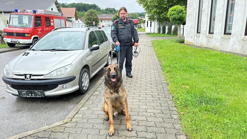 Zwei Polizeihunde sind an der Suche beteiligt. (Bild: Christian Schulter)