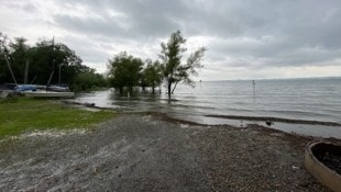 Am Bregenzer Segelhafen stehen die Wiesen unter Wasser.