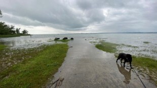 An etlichen Stellen ist der Bodensee in der vergangenen Woche übergeschwappt.