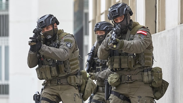 The Cobra special unit deployed to Baden (symbolic image). (Bild: Georges Schneider)