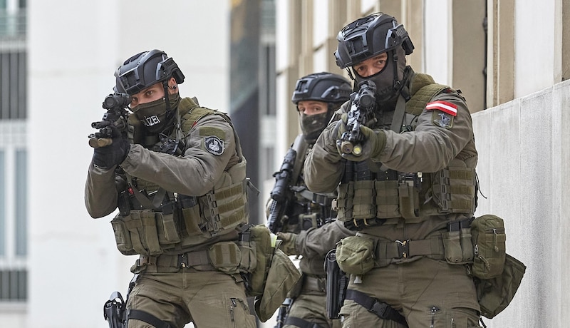 Cobra task force approached the apartment building (Bild: Georges Schneider)