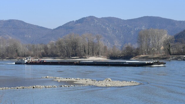 The Danube is both a natural paradise and an agricultural route - and it should stay that way (Bild: Huber Patrick)