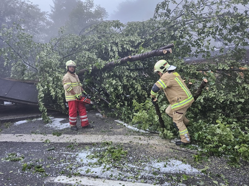 Az erdőben is hatalmas károk keletkeztek. (Bild: zoom.tirol)