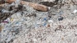 Plastikmüll säumt den Strand bei Rovinj auf der istrischen Halbinsel. (Bild: zVg)
