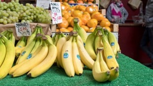 Der Bananen-Hersteller ist mit schweren Vorwürfen konfrontiert. (Bild: AFP/Justin TALLIS)