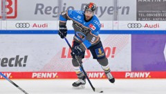 Andrew Rowe kommt aus Ingolstadt nach Salzburg.