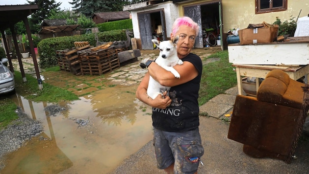 The woman from Eastern Styria and her rescued animals are left with nothing and will probably lose the roof over their heads too (Bild: Christian Jauschowetz)