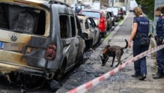 Auch ein Spürhund der Polizei war im Einsatz. (Bild: Kerschbaummayr Werner, Krone KREATIV)