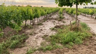 Nur abgeschwemmte Erde ist noch das kleinste Übel. 