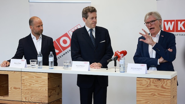 Landesrat Marco Tittler, WKÖ-Präsident Harald Mahrer und WKV-Präsident Wilfried Hopfner waren zu Besuch bei „S.I.E“ in Lustenau. (Bild: mauche)