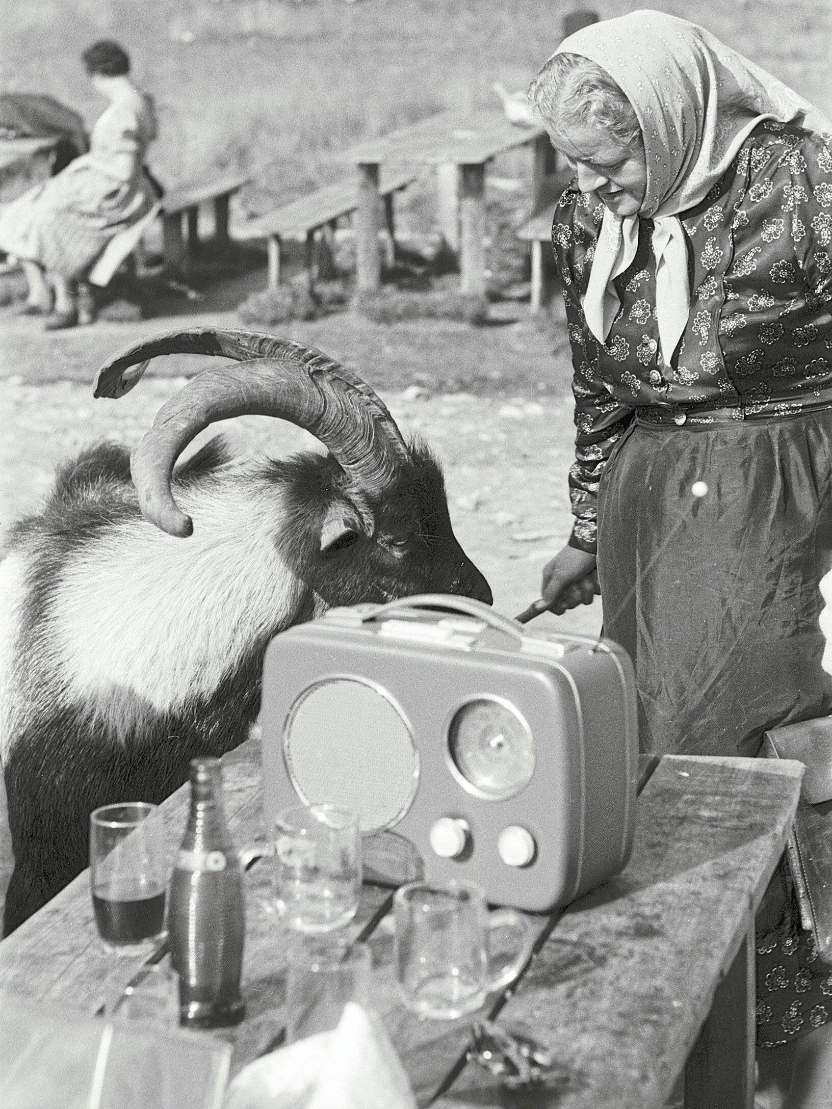 Das Radio war überall dabei (Bild: Uto Laur/Multimediale Sammlung)