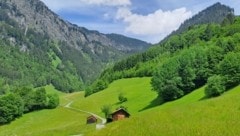 Auf der gemütlichen Wanderung gibt es viel zu sehen.   (Bild: Bergauer Rubina)