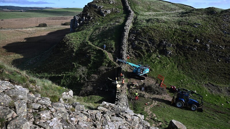 Weltweite Bekanntheit erlangte der Baum durch eine Szene in dem Film „Robin Hood – König der Diebe“. (Bild: AFP)