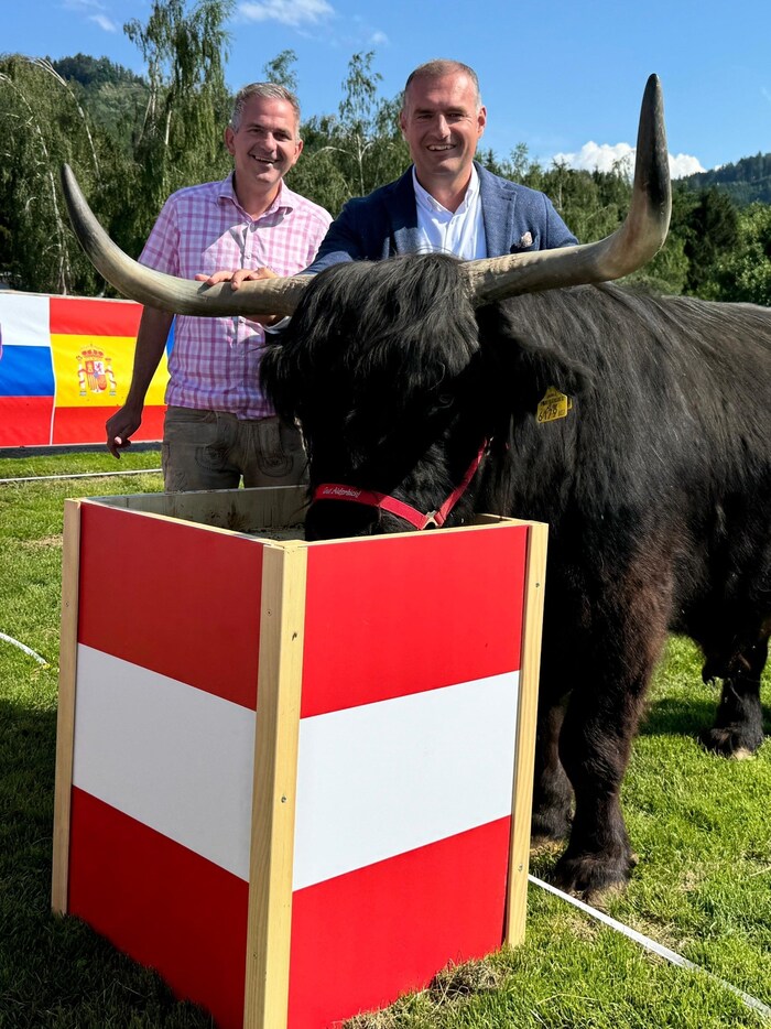 Notar Hannes Codalona (l.) überwachte den tierischen Euro-Tipp. Stier „Sammy“ legte sich fest: ...