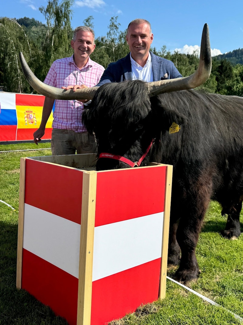 Notar Hannes Codalona (l.) überwachte den tierischen Euro-Tipp. Stier „Sammy“ legte sich fest: Österreich gewinnt, er wählte die rot-weiß-rote Futterbox.  (Bild: Tröster Andreas/zVg)