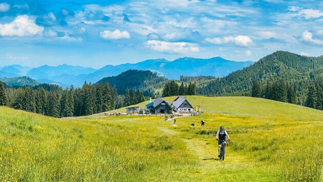 Die Ebenforstalm heißt Wanderer und Biker willkommen. (Bild: Hannes Wallner)