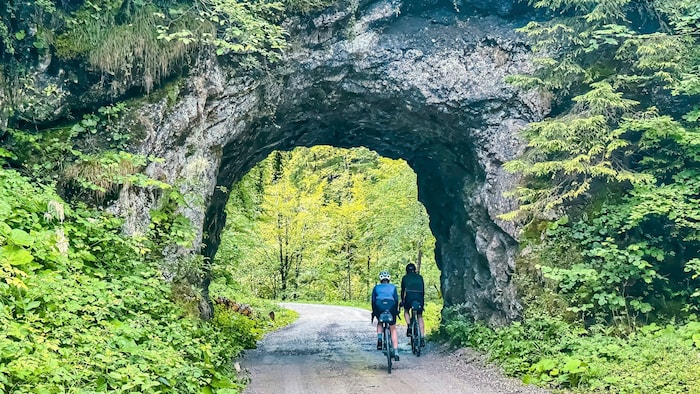 The old forest railway line is known for its rock tunnels.