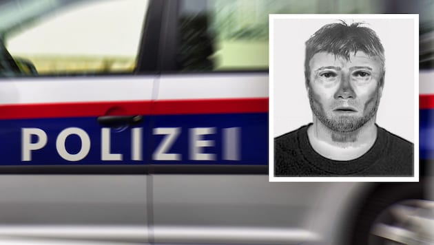 Der Täter hat weiße Haare und trägt einen weißen Spitzbart. (Bild: Krone KREATIV/LPD NÖ, stock.adobe.com)