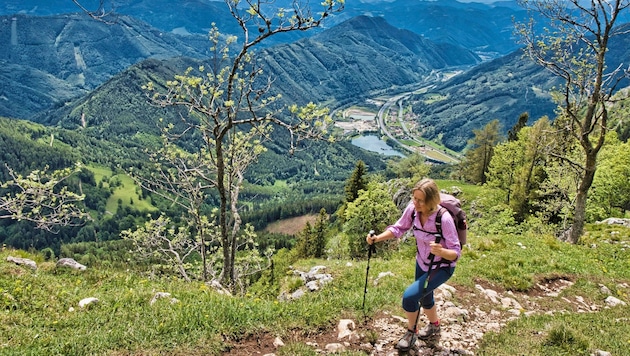 Diese Tour verspricht ein wahres Naturerlebnis (Bild: Weges)