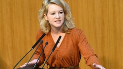 Eingebracht wurde der Antrag von der SPÖ-Abgeordneten Eva Maria Holzleitner. (Bild: APA/HELMUT FOHRINGER)