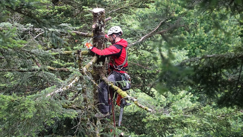 The mountain rescuers had to remove several branches. (Bild: ZOOM Tirol)