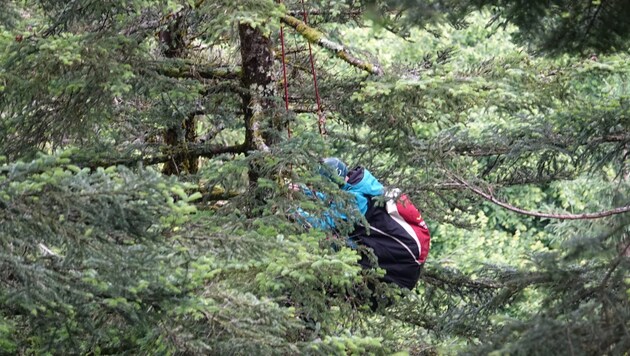 The student pilot landed in a 40-meter-high fir tree. (Bild: ZOOM Tirol)