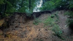 Die Unglücksstelle im Wald (Bild: zVg)