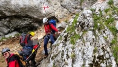 Die Bergrettung Mürzzuschlag musste auf die Rax ausrücken. (Bild: Bergrettung Steiermark/Krone KREATIV)