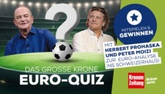 Ten new questions every day - who will quiz their way into the Schweizerhaus? (Bild: Krone KREATIV, stock.adobe.com, Mario Urbantschitsch (2))