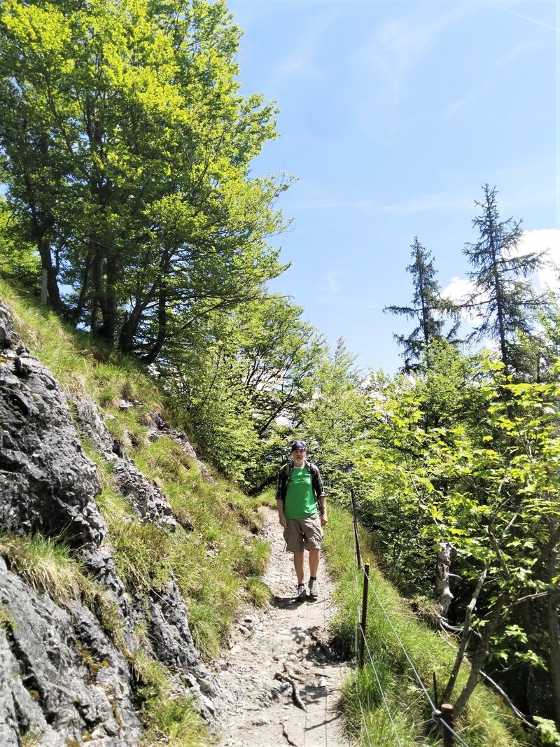 Ein Steig leitet im letzten Abschnitt der Tour gemütlich hinüber zur Bärstättalm. (Bild: Peter Freiberger)