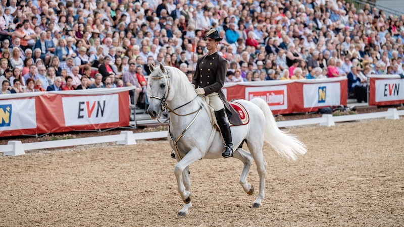 Lipizzanergala Heldenberg (Bild: Klaus Ranger)