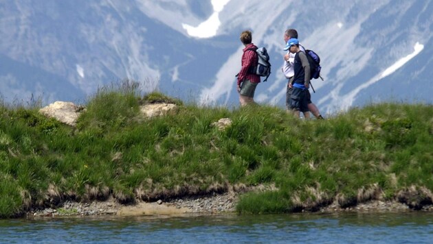 The mountain landscape unites the four regions analyzed. (Bild: CHRISTOF BIRBAUMER)