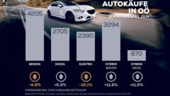 Unsere Grafik zeigt die interessante Entwicklung (Bild: Krone KREATIV)